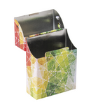 Fujima Metal Cigarette Case 20pk