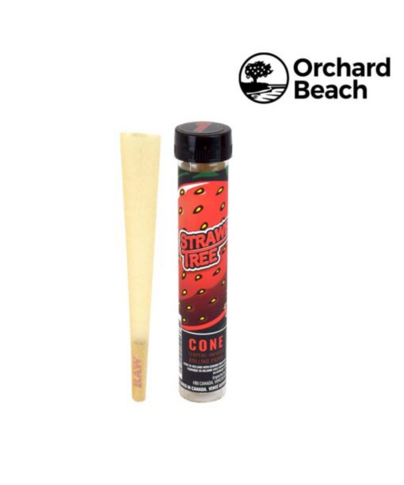 Orchard Beach Terpene Infused Strawberry Tree Raw Cone | Gord's Smoke 