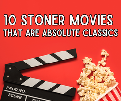 10 Stoner Movies That Are Absolute Classics