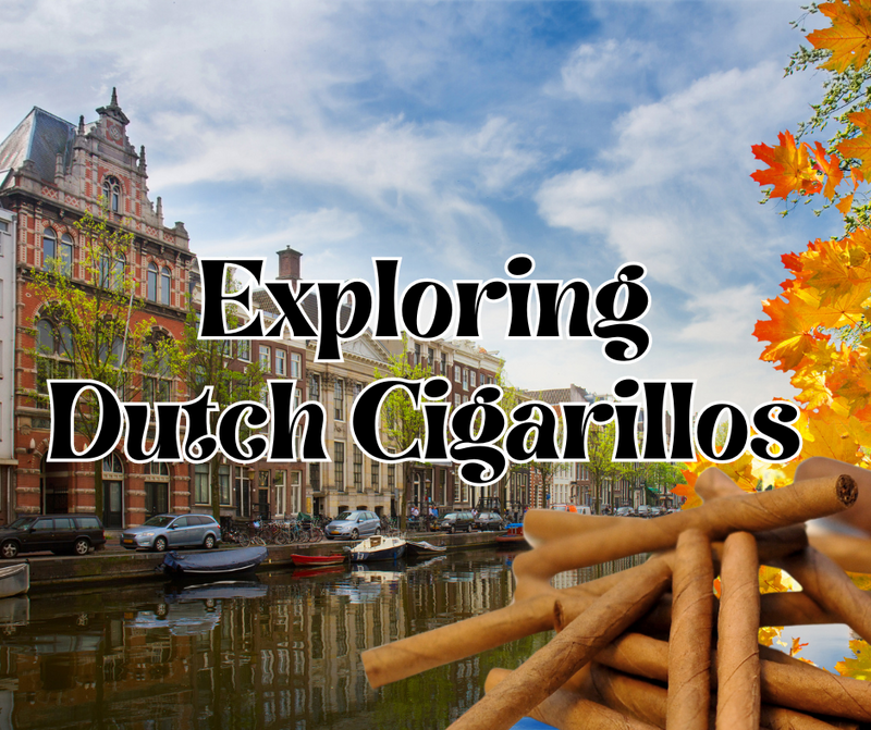 Exploring Dutch Cigarillos: Café Crème, Panter, and Primos