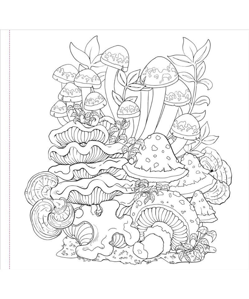 Mushroom Artist's Colouring Book