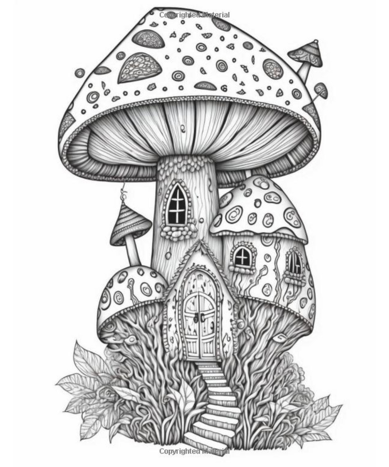 Mushroom Fairy House Adult Colouring Book
