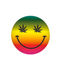 Leaf Smiley Face Magnet
