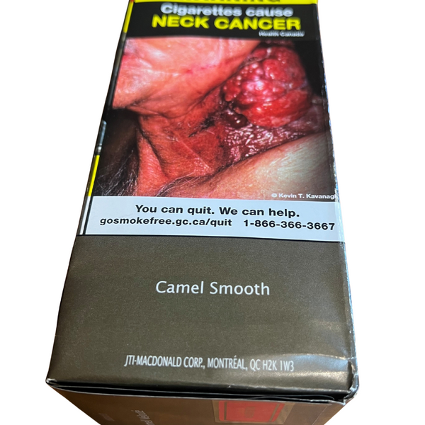 Camel Smooth King Size 20 | Gord's Smoke Shop