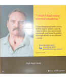 Pall Mall Bold Regular 25pk Carton