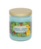 Sparkling Juniper Smoke Odor Exterminator Candle