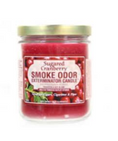 Sugared Cranberry Smoke Odor Exterminator Candle