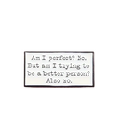 Am I Perfect? No Pin