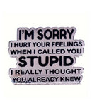 I'm Sorry I Hurt Your Feelings Pin