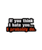 If You Think I Hate You I Probably Do Pin