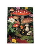 Enchanted Forest Mushroom Canvas Painting