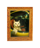 Cool Smoking Cats Magnet