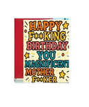 Happy F**king Birthday Greeting Card
