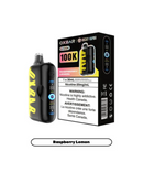 Oxbar G100k Disposable Vape Assorted Flavours Alberta Excised