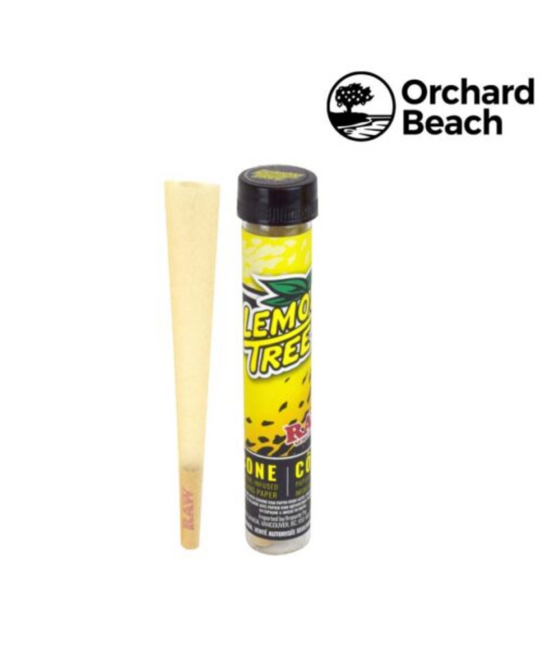 Orchard Beach Terpene Infused Lemon Tree Raw Cone | Gord's Smoke Shop