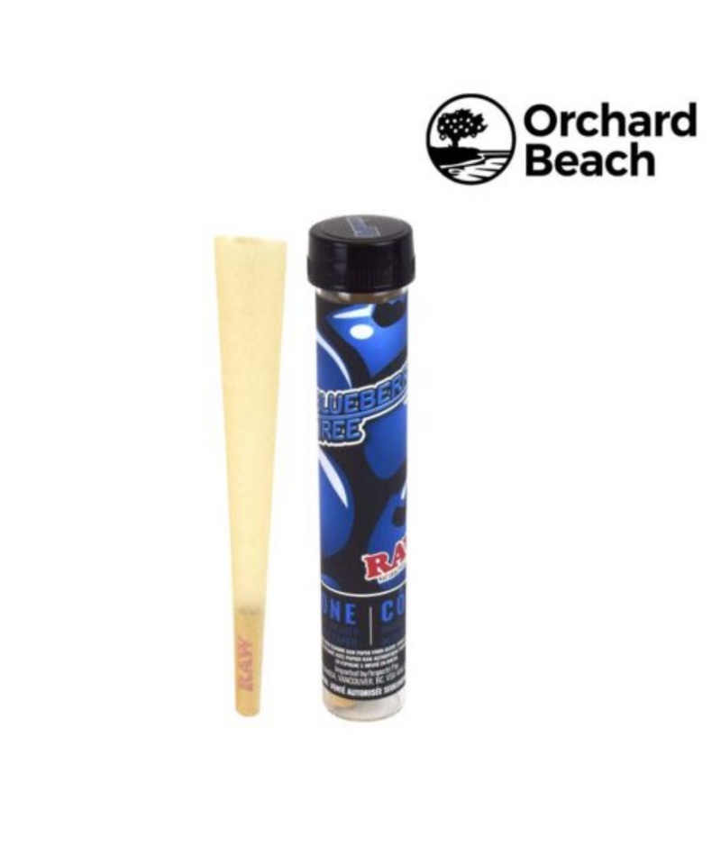 Orchard Beach Terpene Infused Blueberry Tree Raw Cone | Gord's Smoke S